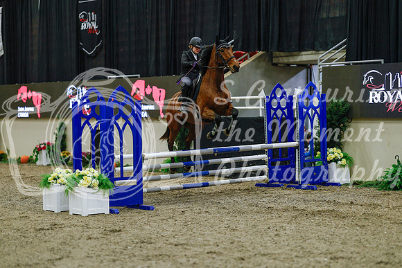 2025 - Haylee - Royal West - Sunday October 19th - 00416