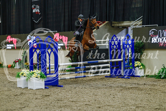 2025 - Haylee - Royal West - Sunday October 19th - 00417
