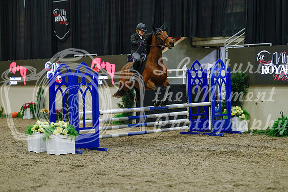 2025 - Haylee - Royal West - Sunday October 19th - 00419