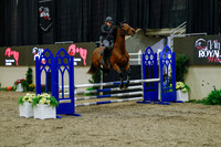 2025 - Haylee - Royal West - Sunday October 19th - 00421