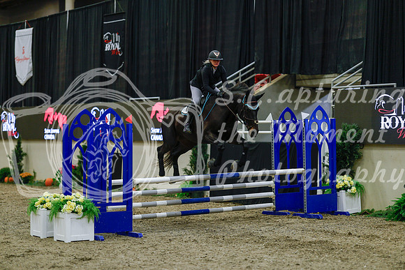 2025 - Haylee - Royal West - Sunday October 19th - 00573