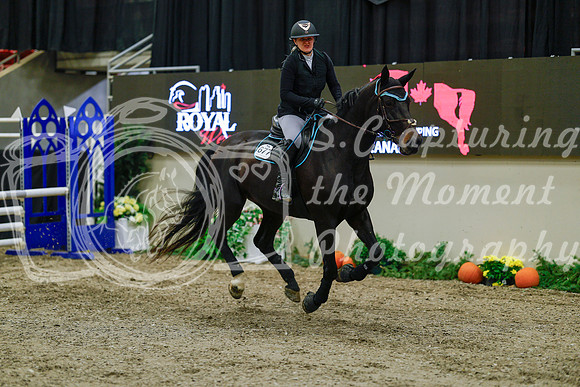 2025 - Haylee - Royal West - Sunday October 19th - 00576