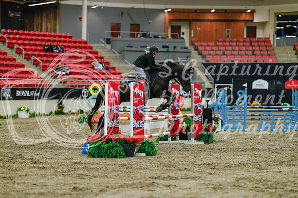 2025 - Haylee - Royal West - Sunday October 19th - 00582