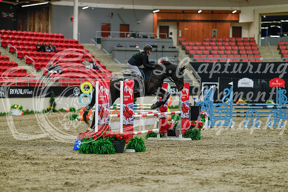 2025 - Haylee - Royal West - Sunday October 19th - 00583