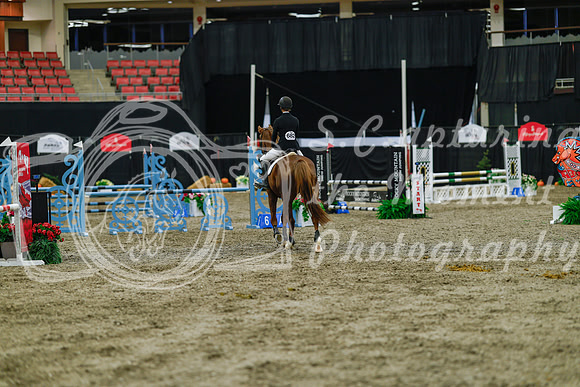 2025 - Haylee - Royal West - Sunday October 19th - 01147