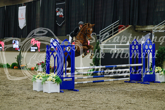 2025 - Haylee - Royal West - Sunday October 19th - 01152