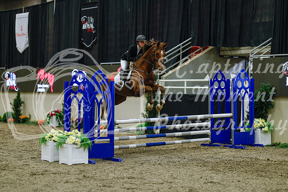 2025 - Haylee - Royal West - Sunday October 19th - 01157