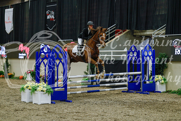 2025 - Haylee - Royal West - Sunday October 19th - 01160