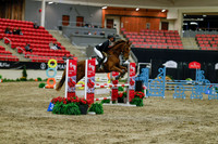 2025 - Haylee - Royal West - Sunday October 19th - 01164