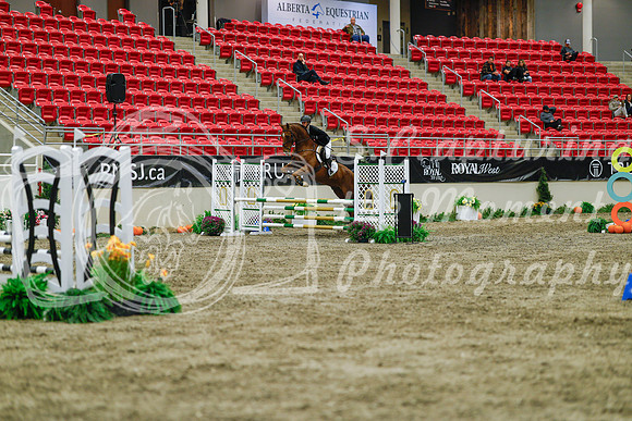 2025 - Haylee - Royal West - Sunday October 19th - 01169