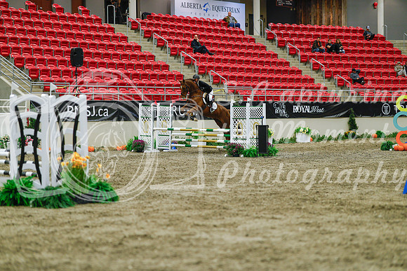 2025 - Haylee - Royal West - Sunday October 19th - 01170