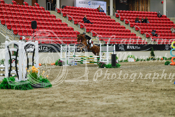 2025 - Haylee - Royal West - Sunday October 19th - 01171