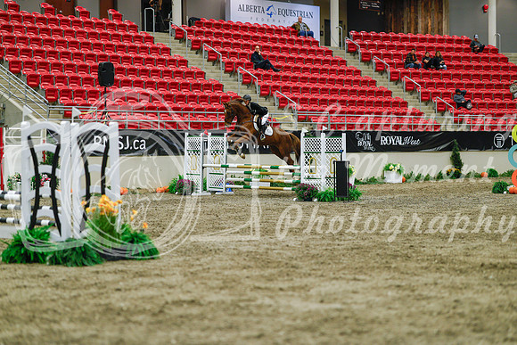 2025 - Haylee - Royal West - Sunday October 19th - 01173