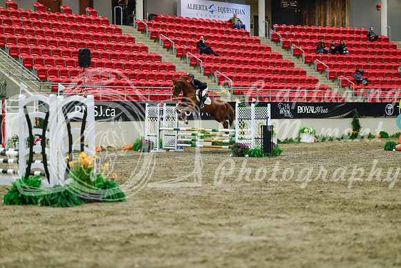 2025 - Haylee - Royal West - Sunday October 19th - 01174