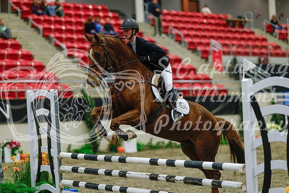 2025 - Haylee - Royal West - Sunday October 19th - 01185
