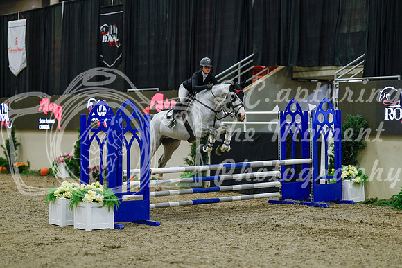2025 - Haylee - Royal West - Sunday October 19th - 00479