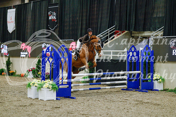 2025 - Haylee - Royal West - Sunday October 19th - 00173
