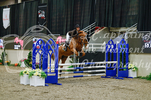 2025 - Haylee - Royal West - Sunday October 19th - 00175