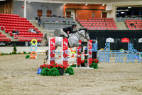 2025 - Haylee - Royal West - Sunday October 19th - 00104