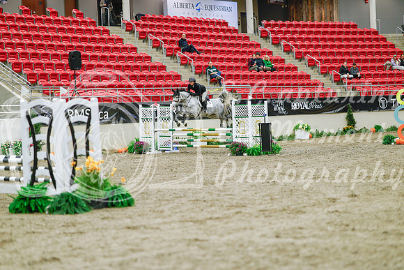 2025 - Haylee - Royal West - Sunday October 19th - 00116