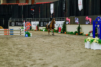 2025 - Haylee - Royal West - Sunday October 19th - 00708