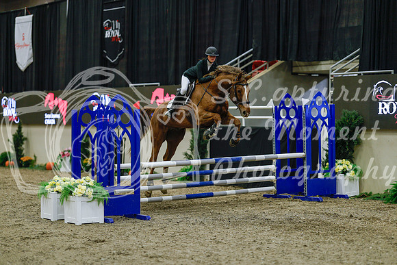 2025 - Haylee - Royal West - Sunday October 19th - 00712