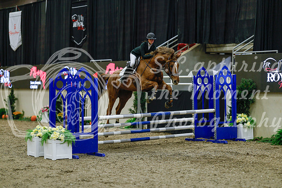 2025 - Haylee - Royal West - Sunday October 19th - 00713