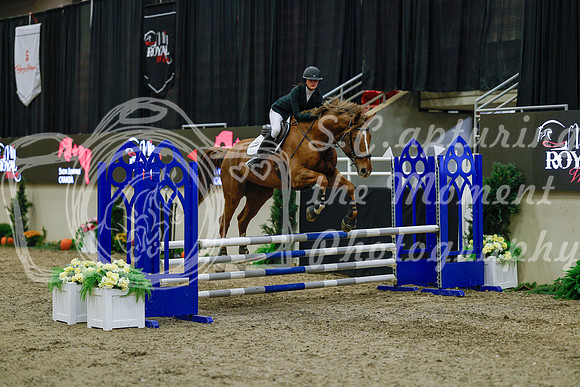 2025 - Haylee - Royal West - Sunday October 19th - 00714