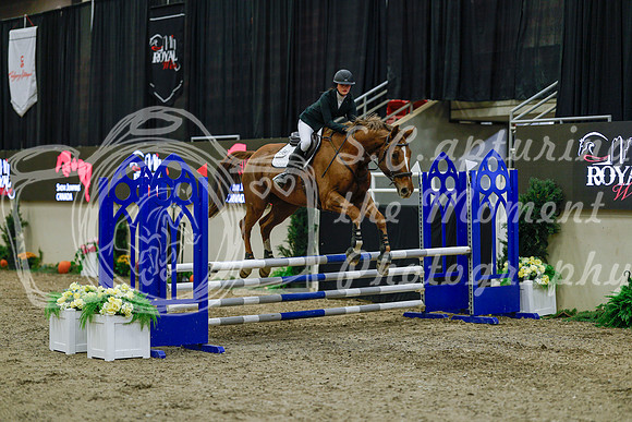 2025 - Haylee - Royal West - Sunday October 19th - 00716