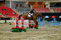 2025 - Haylee - Royal West - Sunday October 19th - 00720