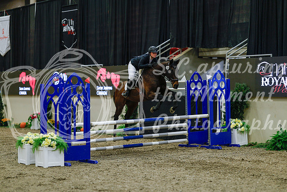 2025 - Haylee - Royal West - Sunday October 19th - 00764
