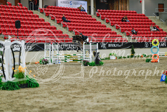 2025 - Haylee - Royal West - Sunday October 19th - 00774