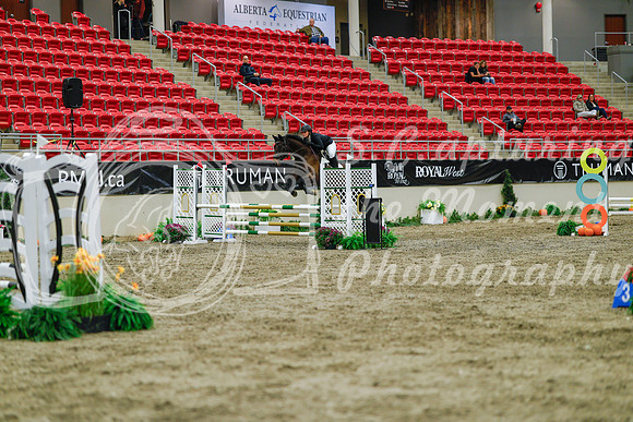 2025 - Haylee - Royal West - Sunday October 19th - 00775