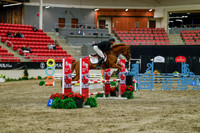 2025 - Haylee - Royal West - Sunday October 19th - 01344