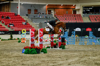 2025 - Haylee - Royal West - Sunday October 19th - 01345