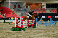 2025 - Haylee - Royal West - Sunday October 19th - 01347