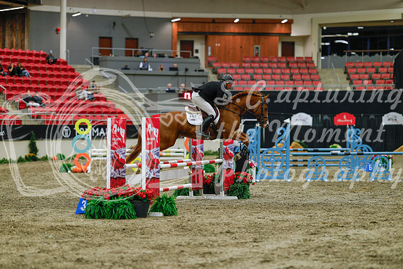 2025 - Haylee - Royal West - Sunday October 19th - 01347