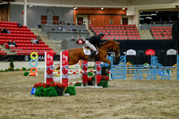 2025 - Haylee - Royal West - Sunday October 19th - 01348