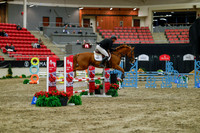 2025 - Haylee - Royal West - Sunday October 19th - 01349