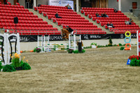 2025 - Haylee - Royal West - Sunday October 19th - 01350