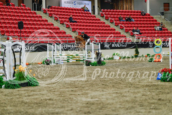 2025 - Haylee - Royal West - Sunday October 19th - 01351