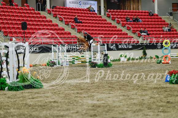 2025 - Haylee - Royal West - Sunday October 19th - 01353