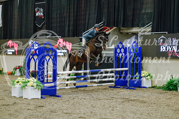 2025 - Haylee - Royal West - Sunday October 19th - 00249