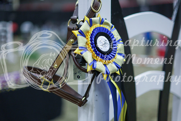 2025 - Shea - Royal West - Sunday October 19th - 09738