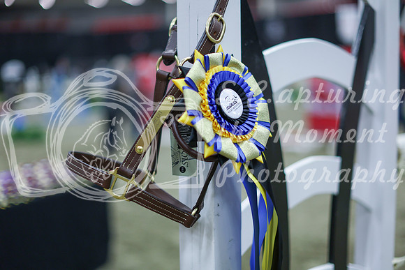 2025 - Shea - Royal West - Sunday October 19th - 09739