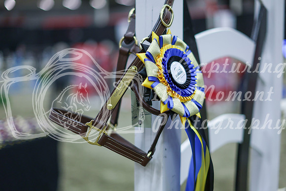 2025 - Shea - Royal West - Sunday October 19th - 09742