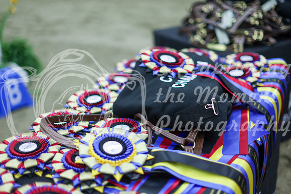 2025 - Shea - Royal West - Sunday October 19th - 09755