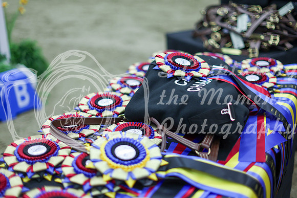 2025 - Shea - Royal West - Sunday October 19th - 09756