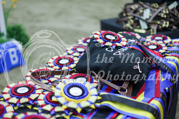 2025 - Shea - Royal West - Sunday October 19th - 09757