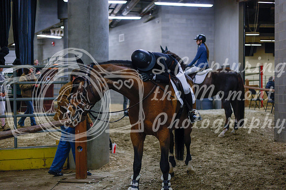 2025 - Haylee - Royal West - Sunday October 19th - 07757